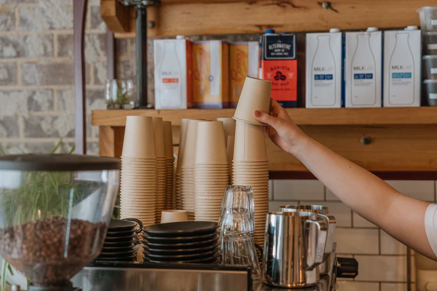 Single Use Cups & Straws
