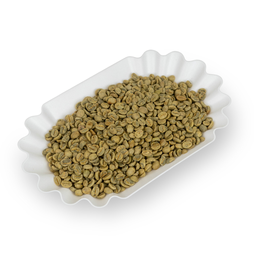 Photo of Green coffee - Ricardo Hirofumi Yoshimatsu, Brazil ( ) [ Apex Coffee Import ] [ Green Coffee ]