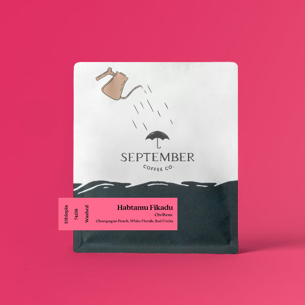 Photo of September - Habtamu Fikadu: Chelbesa ( Default Title ) [ September Coffee Co ] [ Coffee ]