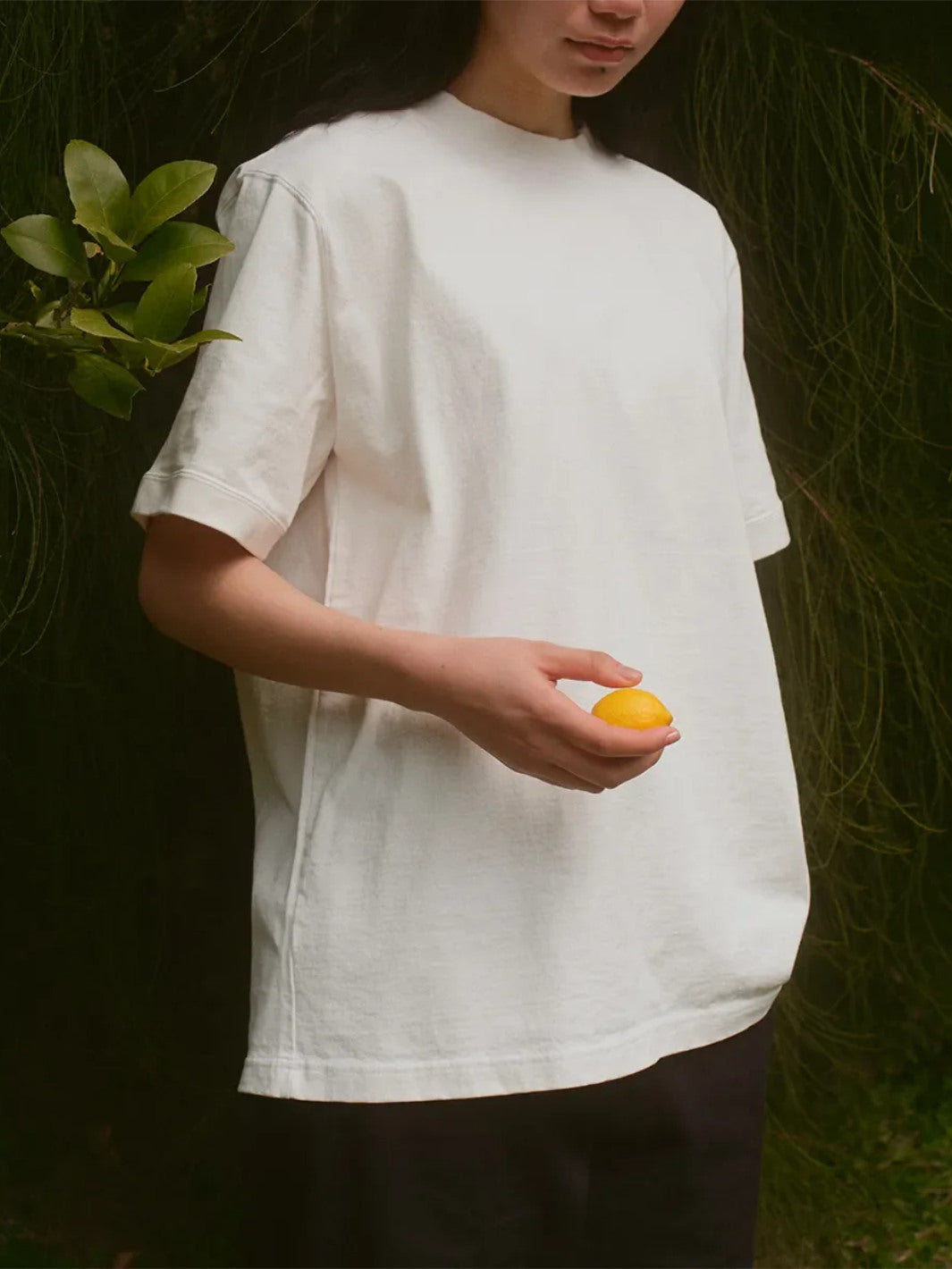 KINTO FUTO Cut and Sew Short Sleeve PCO_1