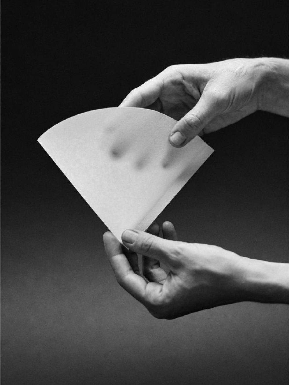 Photo of SIBARIST CONE Specialty Coffee Filters ( ) [ Sibarist ] [ Paper Filters ]