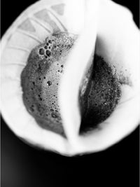Photo of SIBARIST CONE DUAL CHAMBER Specialty Coffee Filters ( ) [ Sibarist ] [ Paper Filters ]