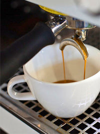 Photo of ACME Classic Mighty Cup (350ml/11.84oz) ( ) [ Acme & Co. ] [ Coffee Cups ]