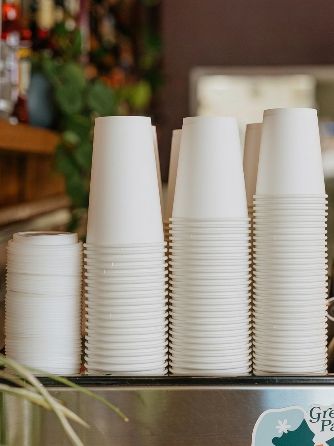 LITTLE GREEN PANDA Home Compostable Paper Cup (1000-Pack) (White)