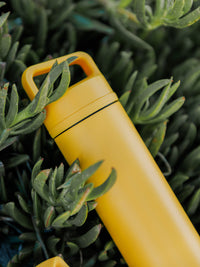 Photo of MiiR Spout Bottle (591ml/20oz) ( ) [ MiiR ] [ Hydration Bottles ]