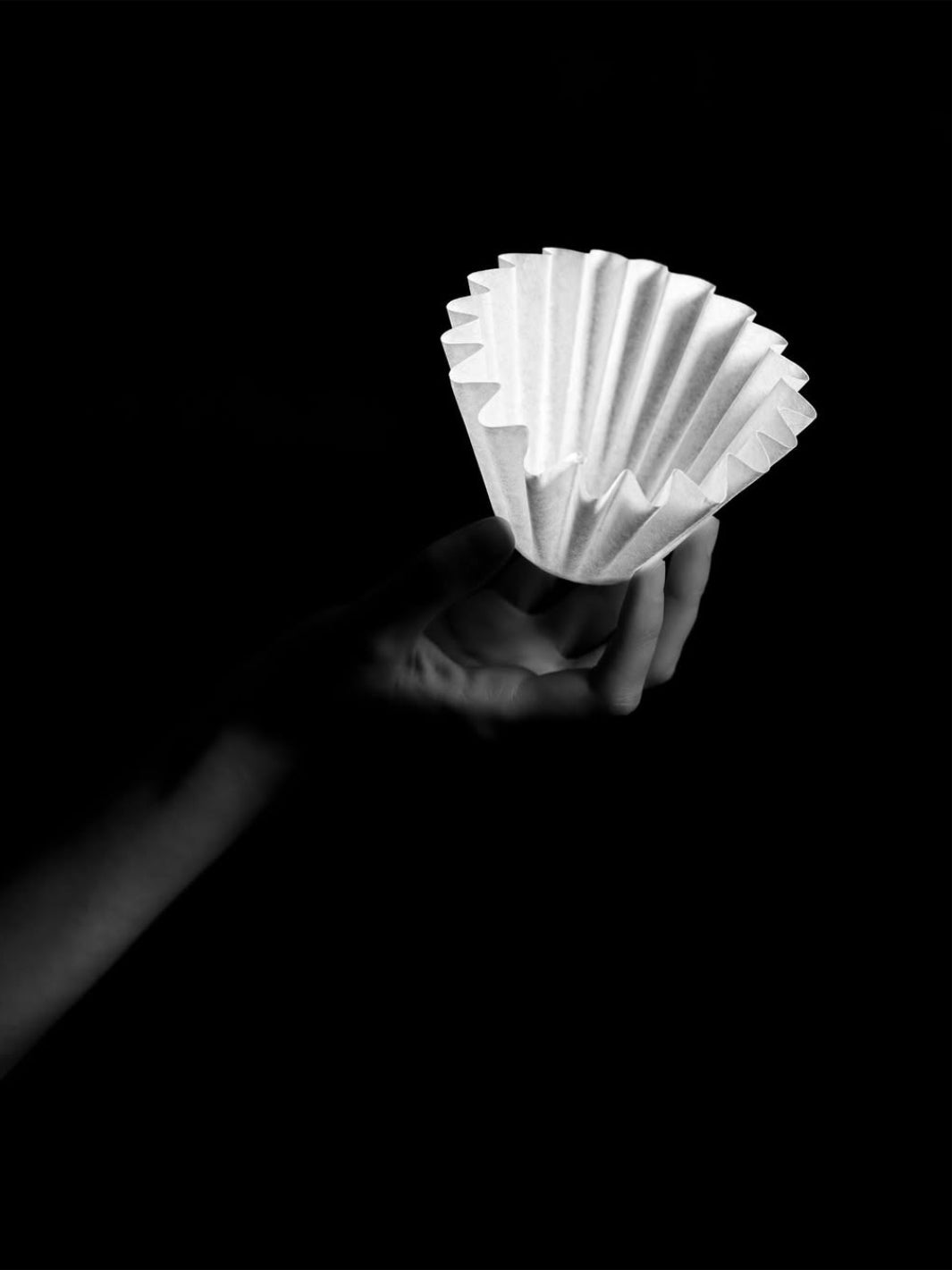 SIBARIST WAVE Specialty Coffee Filters