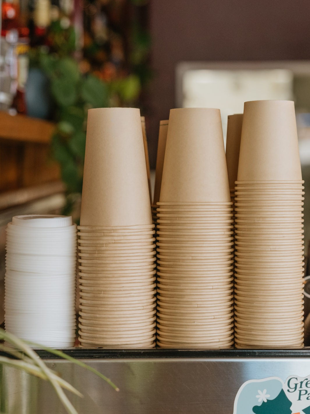 LITTLE GREEN PANDA Home Compostable Paper Cup (1000-Pack) (Brown)