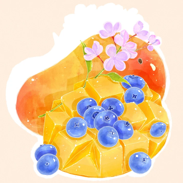 Hydrangea - Shoondhisa