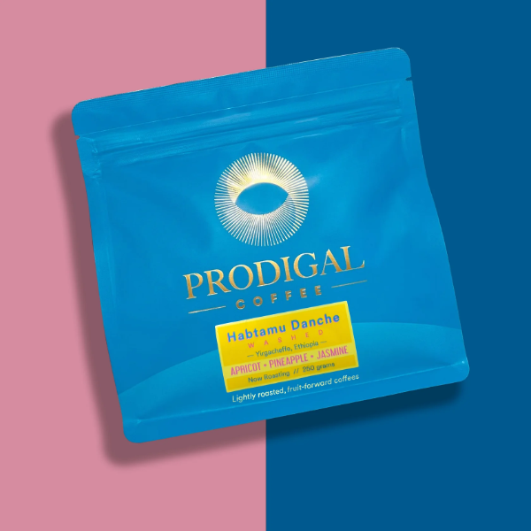 Prodigal - Habtamu Danche