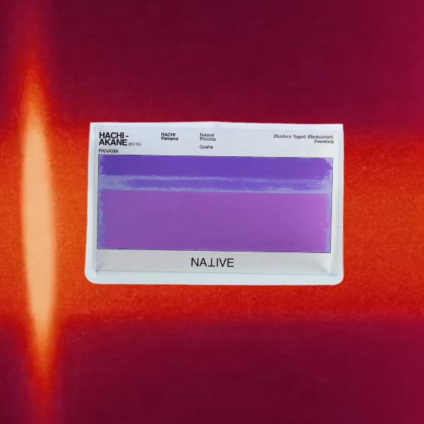 Native - HACHI - Akane