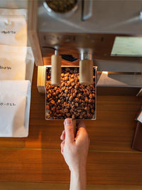 Photo of ROEST S100 Plus Coffee Roaster (120V) ( ) [ ROEST ] [ Coffee Roasters ]