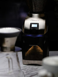 Photo of BARATZA Virtuoso™+ Coffee Grinder (120V) ( ) [ Baratza ] [ Electric Grinders ]