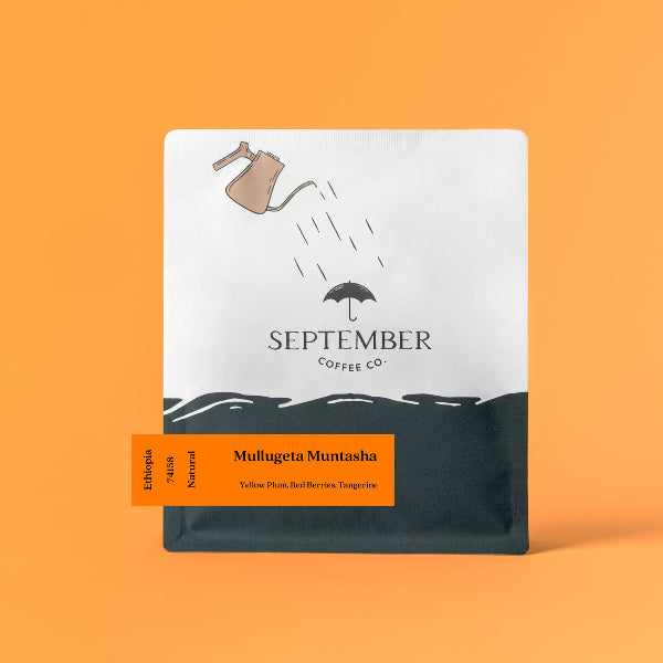 September - Mullugeta Muntasha: Natural