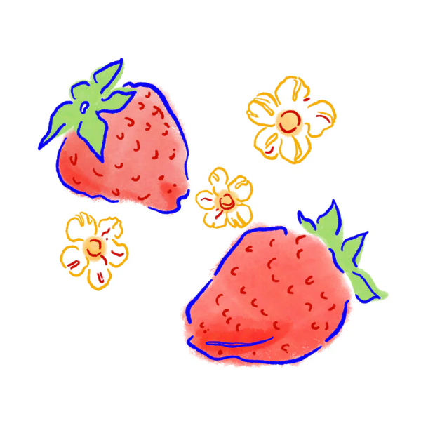 Hydrangea - Juicy Strawberry