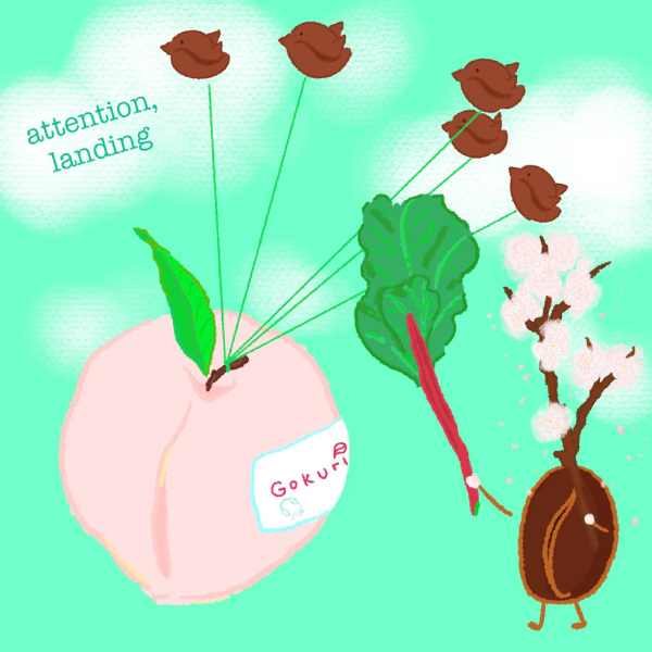 Photo of Hydrangea - Peach Pink Bourbon ( ) [ Hydrangea Coffee ] [ Coffee ]