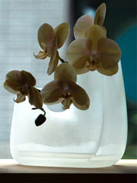 Photo of KINTO TRE Vase (200x120x175mm/7.9x4.7x6.9in) ( ) [ KINTO ] [ Vases ]