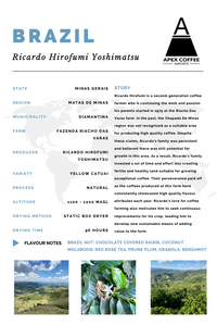 Photo of Green coffee - Ricardo Hirofumi Yoshimatsu, Brazil ( ) [ Apex Coffee Import ] [ Green Coffee ]