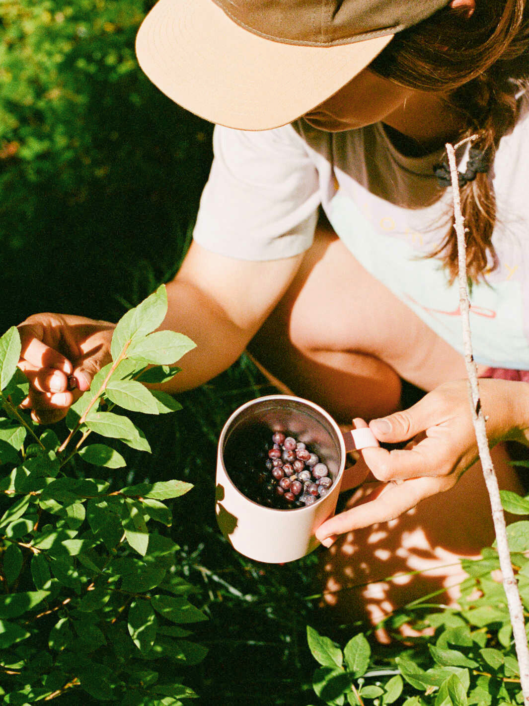 MiiR Camp Cup (355ml/12oz)