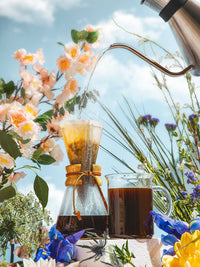 Photo of CHEMEX® Three Cup Classic ( ) [ Chemex ] [ Pourover Brewers ]