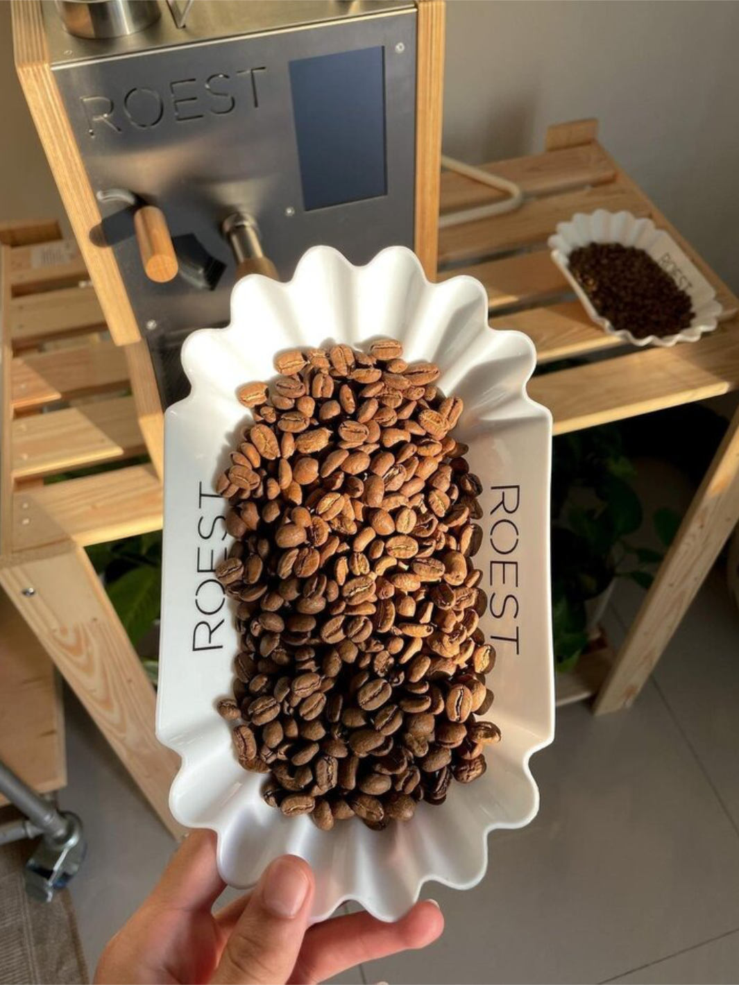 ROEST Bean Tray (Lightly Used)