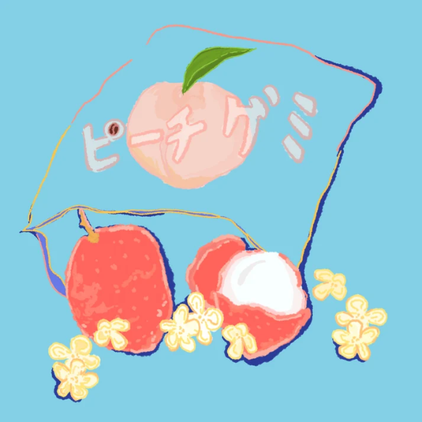 Hydrangea - El Paraiso: Lychee