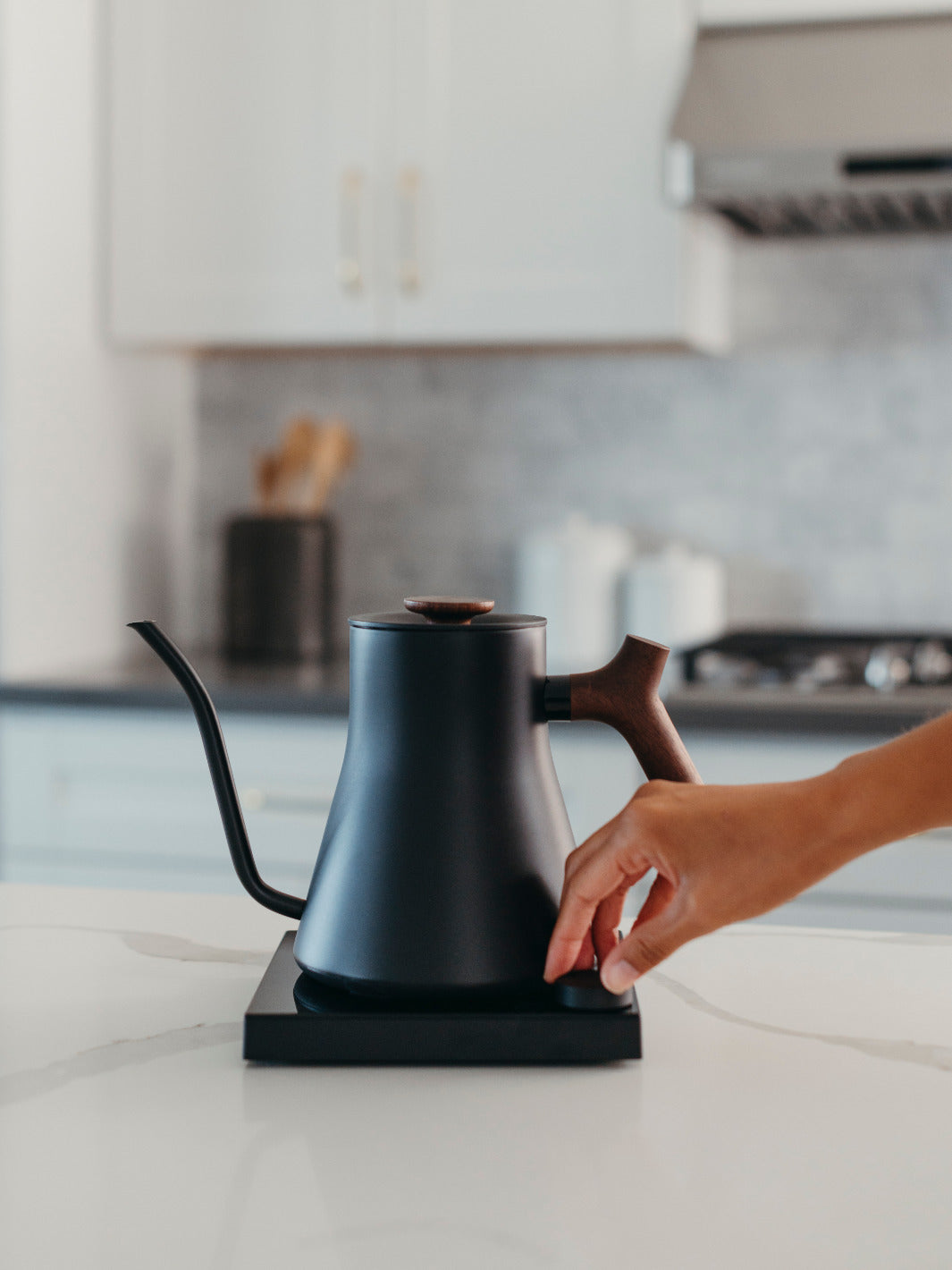 FELLOW Stagg EKG Pro Electric Pour-Over Kettle (120V)