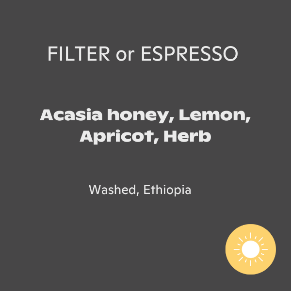 Fritz Coffee - Gedeb Chelbesa