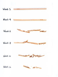 Photo of LITTLE GREEN PANDA Paper-Wrapped Home Compostable Straw (⌀8x210mm/⌀0.3x8.3in) (Angled Cut) (180-Pack) ( ) [ Little Green Panda ] [ Single Use Straws ]