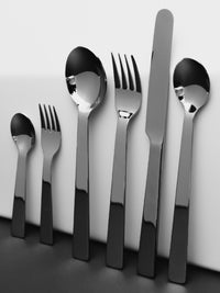 Photo of ACME Long Spoon (Polished) ( ) [ Acme & Co. ] [ Cutlery ]