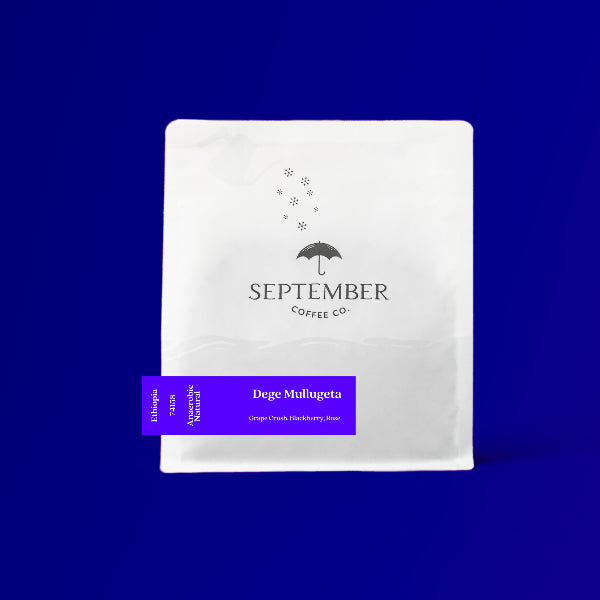Photo of September - Dege Mullugeta ( Default Title ) [ September Coffee Co ] [ Coffee ]