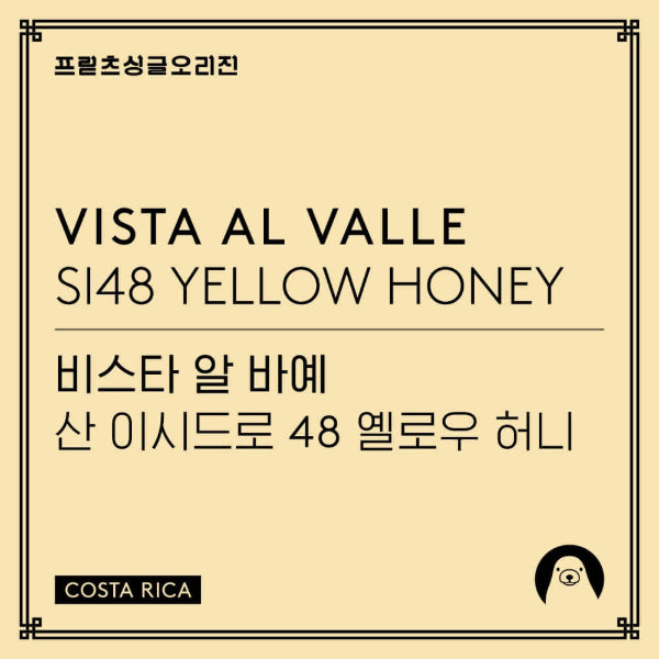 Fritz Coffee - Vista al Valle: San Isidro 48