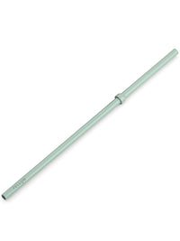 Photo of FELLOW Carter Cold Replacement Straw (591ml/20oz) ( Mint Chip ) [ Fellow ] [ Parts ]