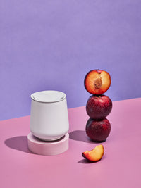 Photo of FELLOW Ruby Wine Tumbler (355ml/12oz) ( ) [ Fellow ] [ Reusable Cups ]