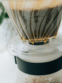 Photo of HARIO Pegasus 03 Dripper (Plastic) ( ) [ HARIO ] [ Pourover Brewers ]