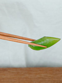 Photo of KINTO HIBI Chopsticks (180mm/7.2in) ( ) [ KINTO ] [ Cutlery ]