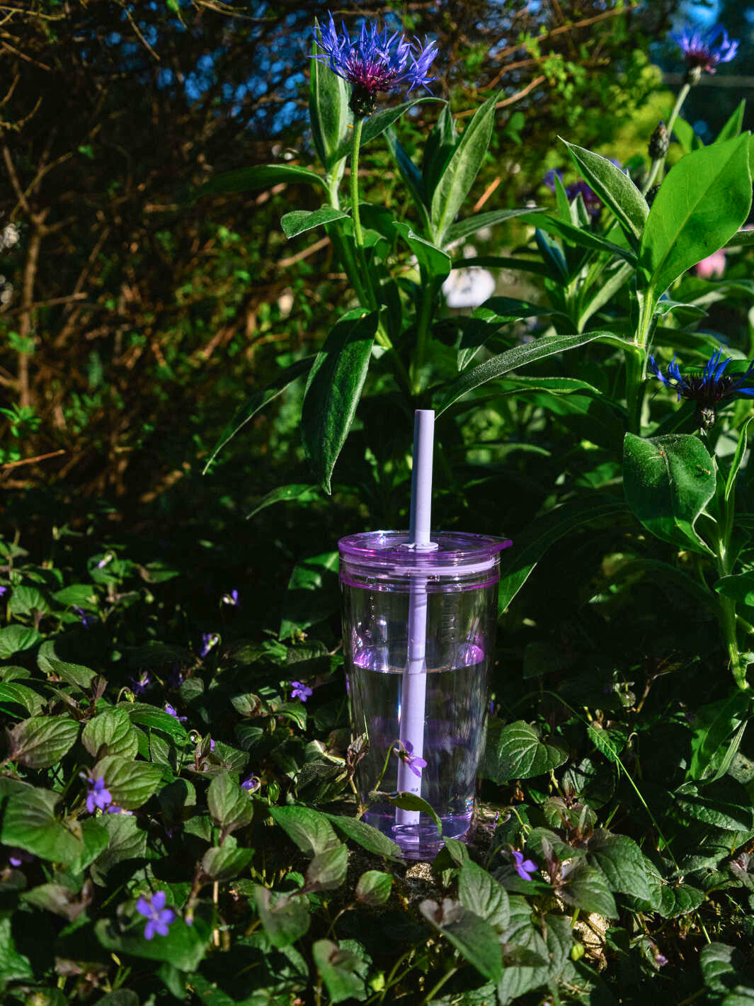 MiiR Everywhere Straw Tumbler (591ml/20oz)