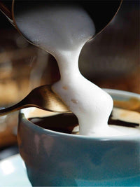 Photo of MILKADAMIA Unsweetened Barista Macadamia M*lk ( ) [ Milkadamia ] [ Alternative Milks ]