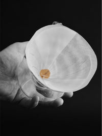 Photo of SIBARIST BOOSTER 22 (for conical drippers with B3 HYBRID filters) ( ) [ Sibarist ] [ Brewing Accessories ]