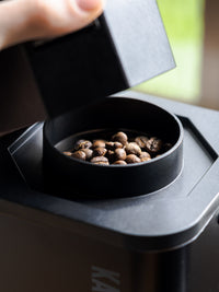 Photo of KAFFELOGIC Nano 7 Coffee Roaster (120V) ( ) [ Kaffelogic ] [ Coffee Roasters ]