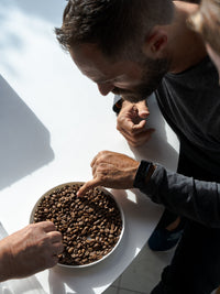 Photo of KAFFELOGIC Nano 7 Coffee Roaster (120V) ( ) [ Kaffelogic ] [ Coffee Roasters ]
